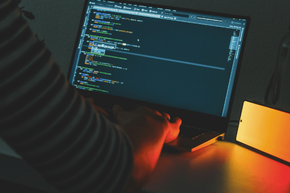 The Future of Software Engineering